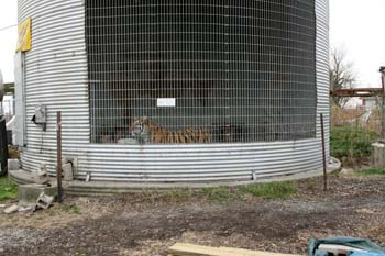 Photo: Big Cat Rescue